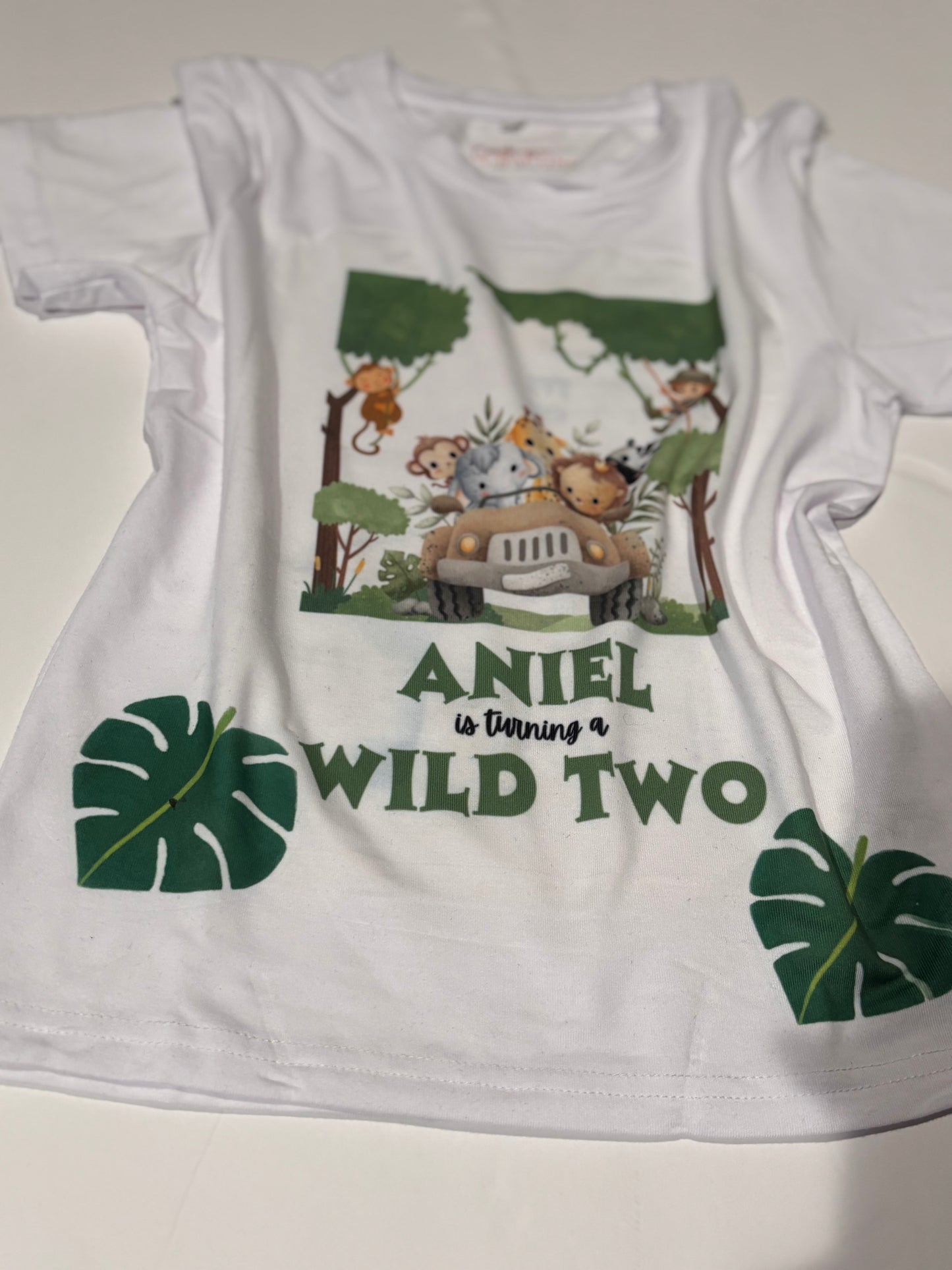 Safari Birthday T-shirts